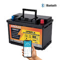 12V 100Ah Lithium Batterie LiFePO4 Akku Bluetooth BMS für Solar Wohnmobil Boot