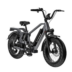 750W 48V E-Bike 20Zoll E-Citybike Elektrofahrrad 15AH 25AH  95-125km Reichweite