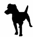 PATTERDALE TERRIER VINYL AUFKLEBER WAND HEIM LAPTOP FENSTER LUSTIG COOL EURO 4 ZOLL