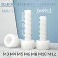 Zylinderschrauben Nylon M3-M12 Kunststoff Polyamid Weiß Schrauben Innensechskant