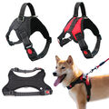 Hundegeschirr Hunde Brustgeschirr verstellbar Gr. S M L XL gepolstert Nylon refl