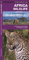 African Wildlife 9781583550328 James Kavanagh - Free Tracked Delivery