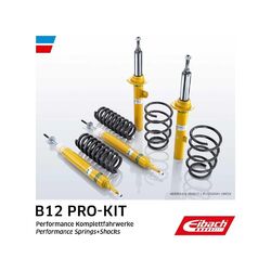 Fahrwerkssatz, Federn/Dämpfer EIBACH E90-15-001-02-22 EIBACH B12 Pro-Kit für