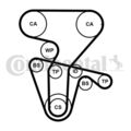 Wasserpumpe + Zahnriemensatz CONTINENTAL CTAM CT877WP4PRO für LYBRA SW ALFA FIAT