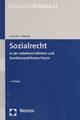 Sozialrecht in der arbeitsrechtlichen und familienrechtlichen Praxis