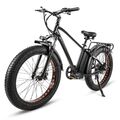 26 Zoll Moped Ebike 750W E Mountainbike 48V 18Ah Damen/Herren Elektrofahrrad