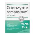 Coenzyme compositum® ad us. vet. Ampullen · 5X5 ml · PZN 04871358