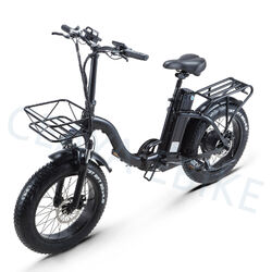 20 Zoll Elektrofahrrad 800W 48V 15AH Faltbares Fat Tire Mountainbike MTB E-Bike