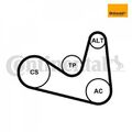 Keilrippenriemensatz CONTINENTAL CTAM 6PK1180K2 für Skoda VW