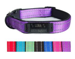 Hundehalsband Halsband Name Gravur personalisiert Haustier Hund Katze Nylon