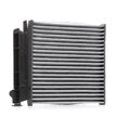 Innenraumfilter Pollenfilter VALEO 715818 für RENAULT TWINGO II (CN0) Aktivkohle