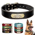 Echtes Leder Hundehalsband Personalisiert mit Name Gravur für kleine große Hund