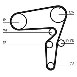 CONTINENTAL CTAM Wasserpumpe + Zahnriemensatz  u.a. für ALFA ROMEO, FIATDie Nr.1* für Autoteile: Top-Preis-Leistungs-Verhältnis