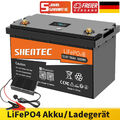 12V 100Ah 150Ah 200Ah Lithium Batterie LiFePO4 Akku mit BMS für Wohnmobil Boot