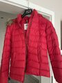 Tommy Jeans Daumen Winterjacke Damen in Rot Top Zustand in M UVP 229€