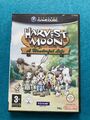 Harvest Moon A Wonderful Life Nintendo GameCube Spiel