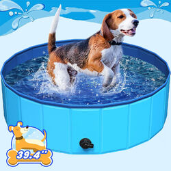 Hundepool Swimmingpool Schwimmbecken Planschbecken Faltbar Pool Bad Hunde Becken