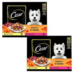 (€10,49/kg) CESAR Selektion in Gelee Portionsbeutel 2 Sorten Huhn, Rind 24x100 g