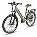 FAFREES F26 PRO Elektrofahrrad 26 Zoll E-Bike Pedelec E-Fahrrad 250W E-Citybike