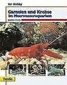 Garnelen und Krebse im Meerwasseraquarium, Ihr Hobb... | Buch | Zustand sehr gut