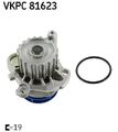 SKF Wasserpumpe AUDI, SEAT, SKODA, VW VKPC81623