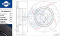 ROTINGER 2x Bremsscheibe hinten Ø300mm passend für BMW 1er E87 116i 118i E81