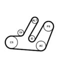 CONTINENTAL CTAM Keilrippenriemensatz 6PK1580K1 für AUDI SEAT