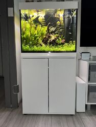 Aquarium Juwel Lido 200 LED incl Besatz und viel Zubehör