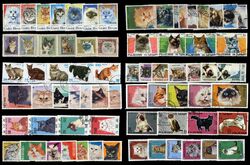 FELINE INLANDSKATZE BRIEFMARKEN - 12 verschiedene Sätze insgesamt 71