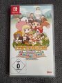 Story of Seasons: Friends of Mineral Town (Nintendo Switch, 2020)