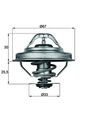 Thermostat Kühlmittel BEHR MAHLE TX 28 92D für E36 BMW 92 Z3 E34 E38 E39 E30 E46