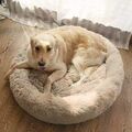 Hundebett Katzenbett Haustierbett Kuschelbett Bett Hundekorb Plüsch Donut  80 cm