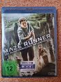 DVD Blu-ray Maze Runner