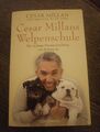 Cesar Millans, Welpenschule