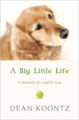 Koontz, D: A Big Little Life by Dean Koontz