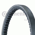 CONTINENTAL CTAM Keilriemen 11,9X670Ld für SEAT VW FORD SHARAN VAN 7M8 7M9 7M6 2