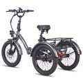 FAFREES Elektro Dreirad E-Bike 20 Zoll 3 Räder Fahrrad 500W Cargo Trike mit Korb