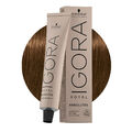 Schwarzkopf Igora Royal Absolutes 7-140  Cendrè Naturbeige Mittelblond 60ml