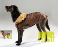 Hundemantel Hundejacke Hundeweste Dog Fashion L xL braun grau warm Winter