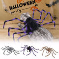 New pet spider costumes for Halloween Fun cosplay costumes for dogs and cats