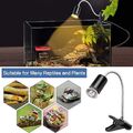 Heizlicht+Lampenhalter Terrarium Aquarium Wärmelampe Reptilien Strahler UVA UVB