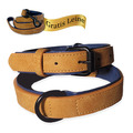 Hundehalsband Leder braun mit einem Halsumfang 27-37cm mit Hundleine