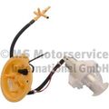 Kraftstoffpumpe Fördereinheit PIERBURG 7.02701.87.0 für BMW F13 F11 F10 F12 F07