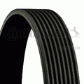 CONTINENTAL CTAM Keilrippenriemen 8PK1478 für BMW 5er Touring F11 F10 X5 E70 X6