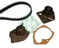 Schaeffler INA Wasserpumpe + Zahnriemensatz 530 0442 30 für RENAULT NISSAN BM0 2