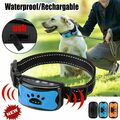 Anti Bell Hundehalsband Erziehungshalsband Hundetrainer mit Ton und Vibration