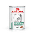 Royal Canin Diabetic Special Low Carbohydrate 12x410 g | Hunde | Dose