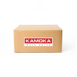 ABS-Raddrehzahlsensor Vorderachse links 1060596 KAMOKA für HYUNDAI i10 I