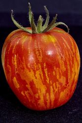 50 Samen Tomate Tigrella gelb-rot gestreifte alte Sorte Tomatensamen