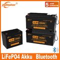 jsdsolar LiFePO4 Akku 100Ah 200Ah 24V Bluetooth Lithium Batterie Wohnmobil Boot